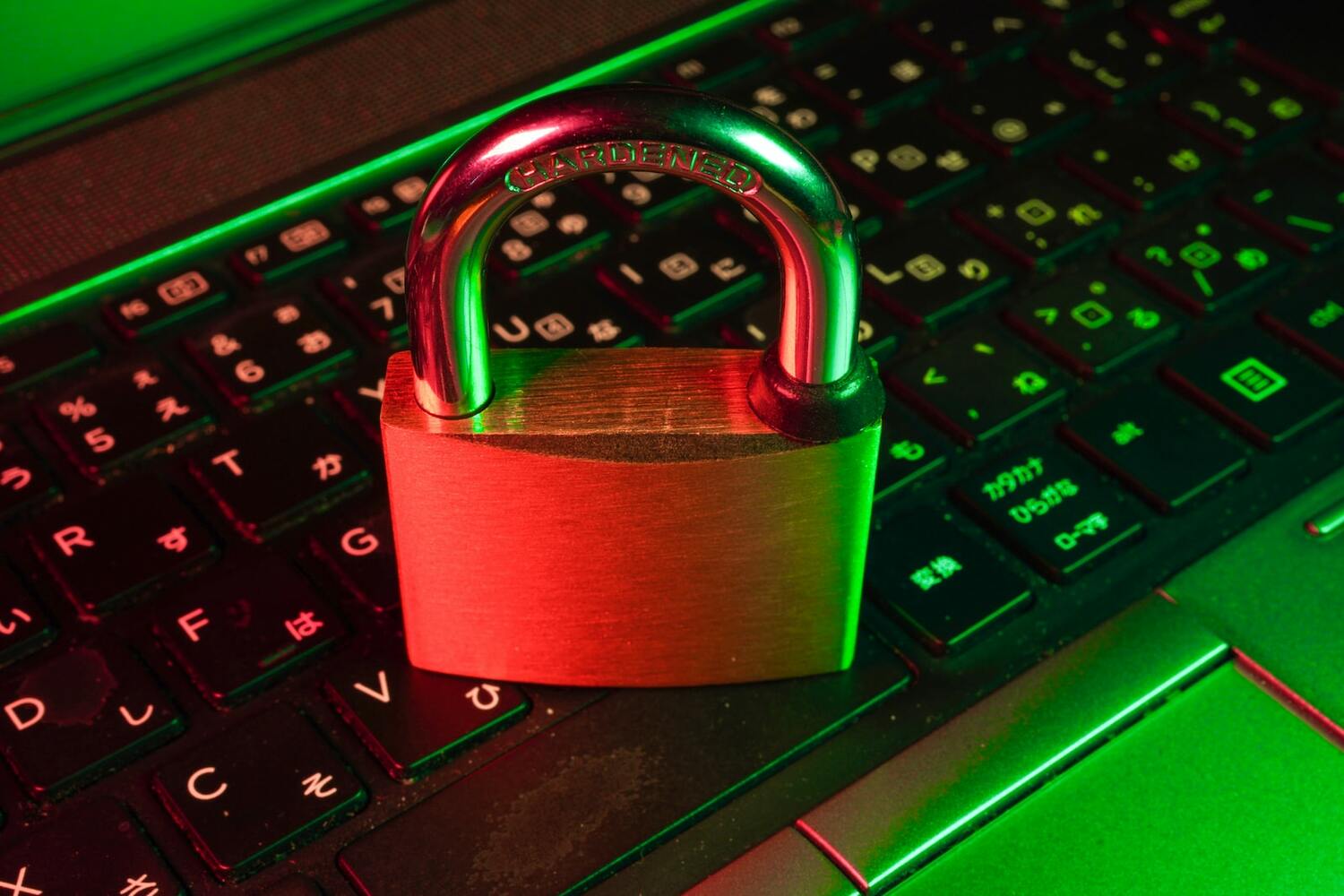 <span style="font-weight: bold;">Cyber Risk Management Services&nbsp;</span>
